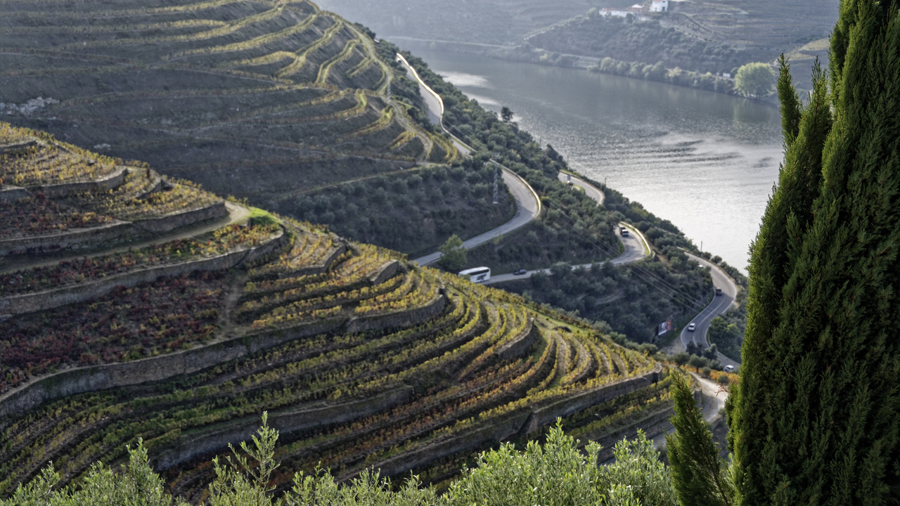 20141021 165301•Valenca do Douro•North•Portugal